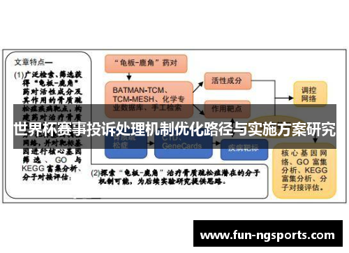 世界杯赛事投诉处理机制优化路径与实施方案研究