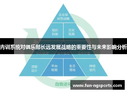 青训系统对俱乐部长远发展战略的重要性与未来影响分析