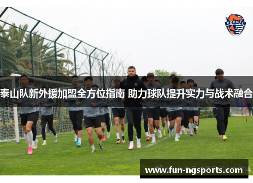 泰山队新外援加盟全方位指南 助力球队提升实力与战术融合