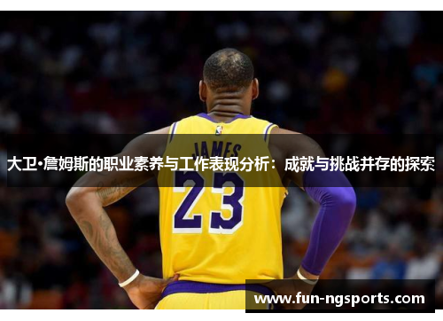 大卫·詹姆斯的职业素养与工作表现分析：成就与挑战并存的探索