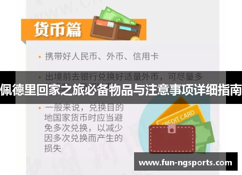 佩德里回家之旅必备物品与注意事项详细指南